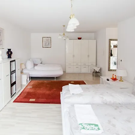 Apartment Baden-Baden 아파트 바덴바덴